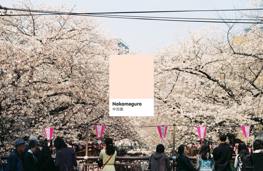 cover_nakameguro